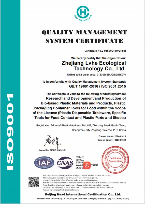 ISO 9001