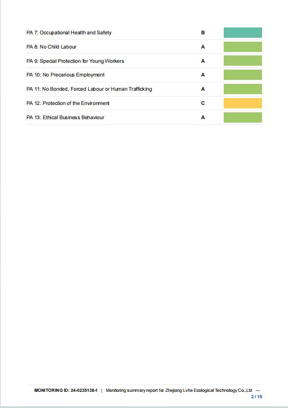 BSCI Audit-0.2